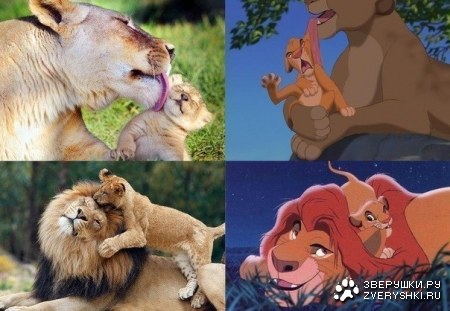 ��� ���-���� ���������� ;)