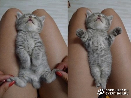 �����... ;)