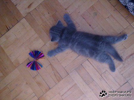 �������� ;)