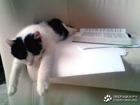 �����... :)