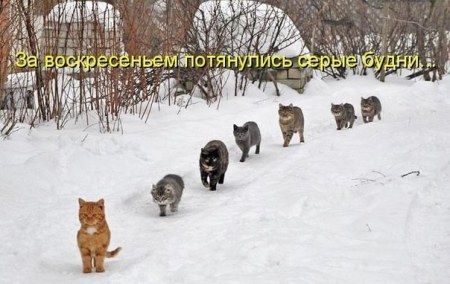 � ��� ������... ;)