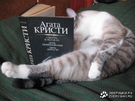 �������� ���������� :)