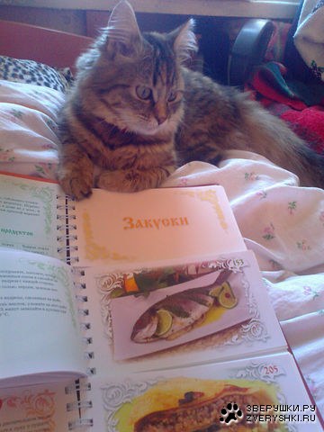 ��������� ����� �� ����!