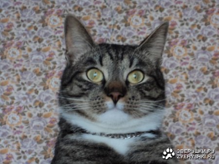 ���� �� ������� ;)