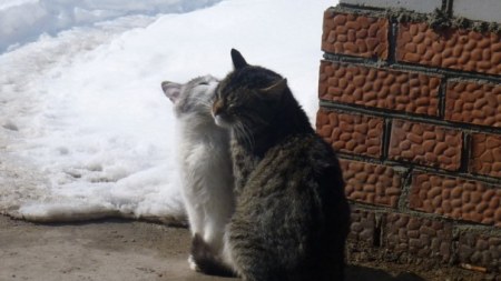 ����� �� ����...