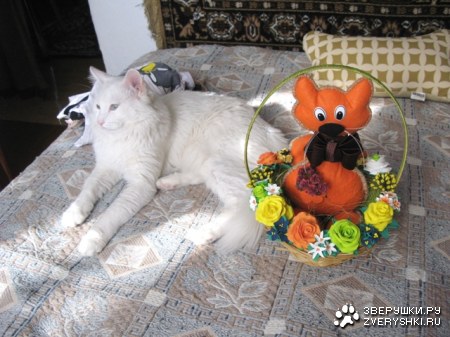 ����� � �����! (6 ����)