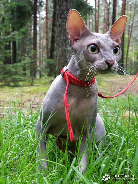 �� ������ ���� ������ � ���! :)