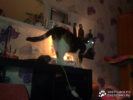 ��������-������! :)