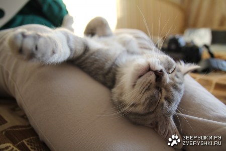 ����� ������� :)