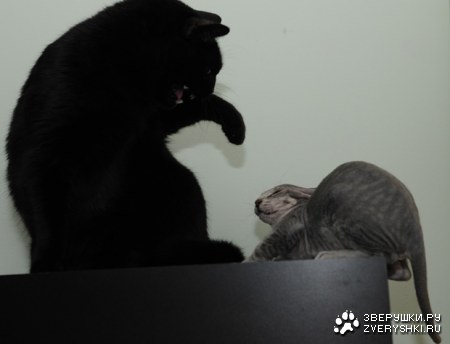 ������ � �� ������ ������� ���������� :)