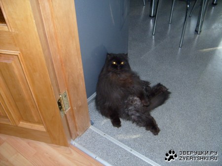 ��� ������ � ��� ������ (3 ����)