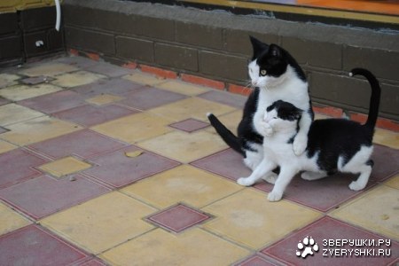 �����! ������� ������� �� �� ������ :)