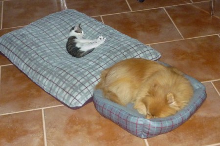 �� �� �������������� :)