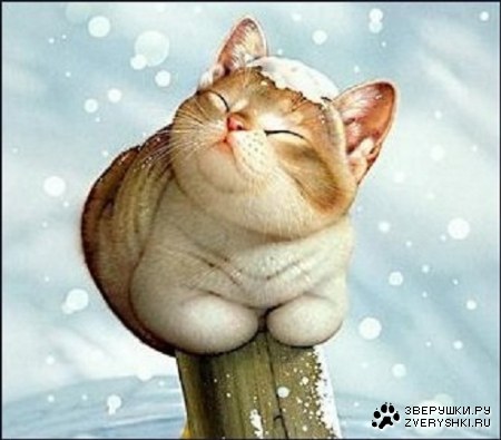 ����� �������-���� ;)