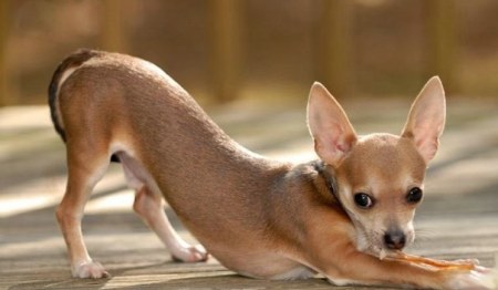 ��������� :)