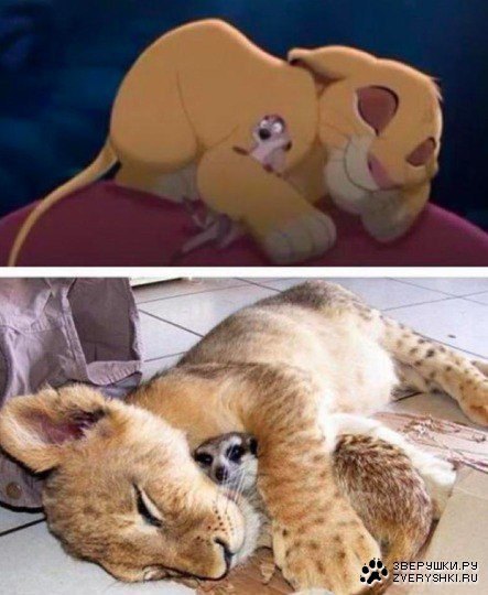 Они существуют ;) Они существуют ;)