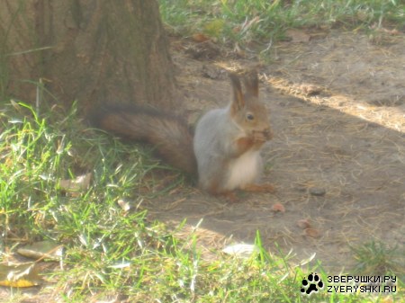 ������ � �������� :)