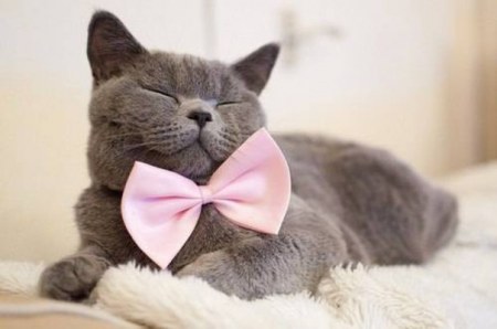 ���������� ;)