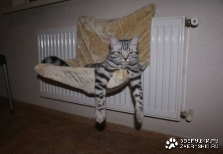 �����... :)