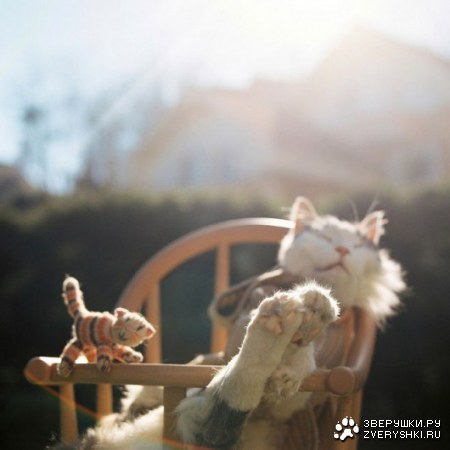 ����� ���������:)