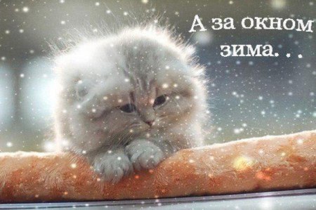 � �� ����� ���� ;)