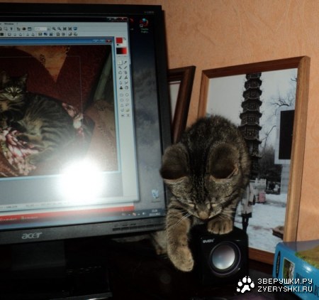 �������������� �������� ;)