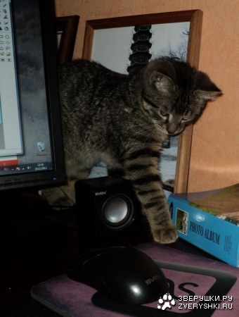 �������������� �������� ;)