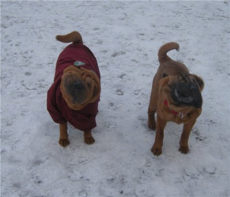 ���� ������ :)