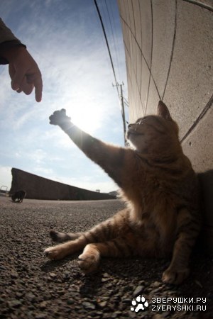 ������ � ��������� ������� (26 ����)