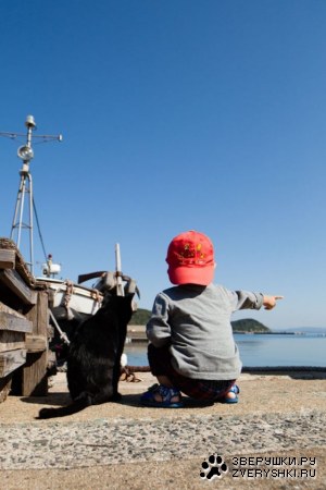 ������ � ��������� ������� (26 ����)