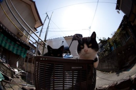 ������ � ��������� ������� (26 ����)