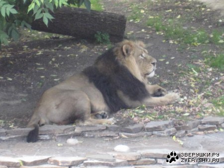 ���� �� ���� :)