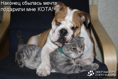 ����� ��������� ;)