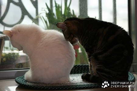 ���������... :)