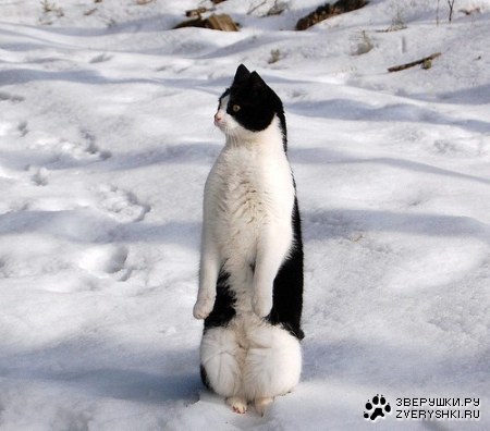 ���-����� :)