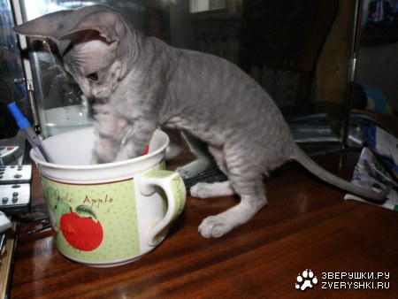 ���� �������� ��� ������ :)