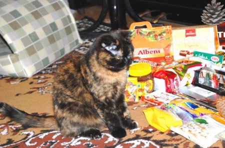 ������ � ����������� ���������� :)