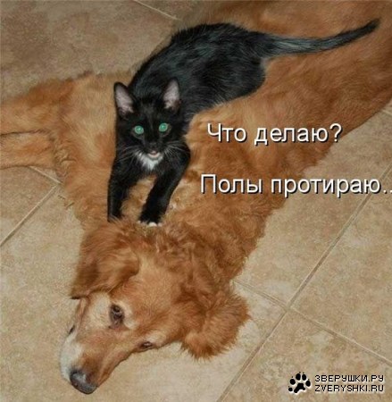 ������� ��������� :)