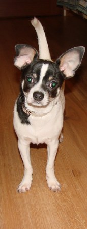 ��������� :)