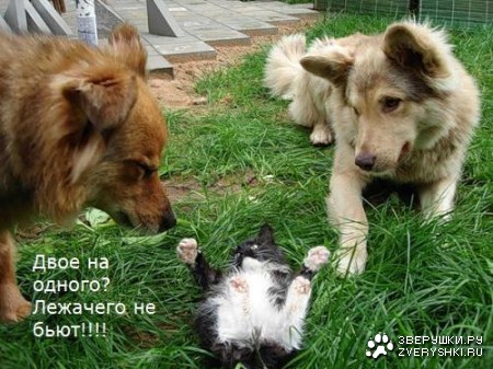 ������� ;)