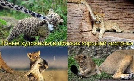 ���� ���������... ;)