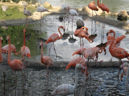 ��� �������� :)