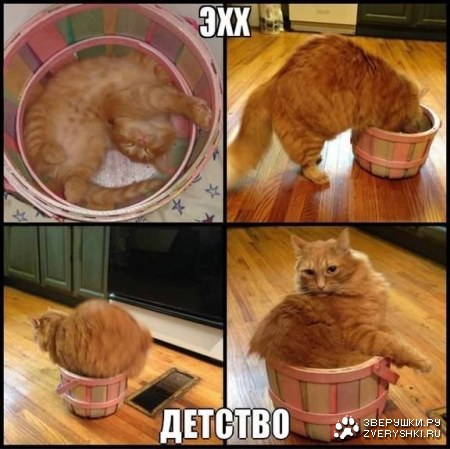 ����� �����������...