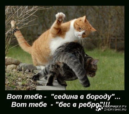 ����������... ;)