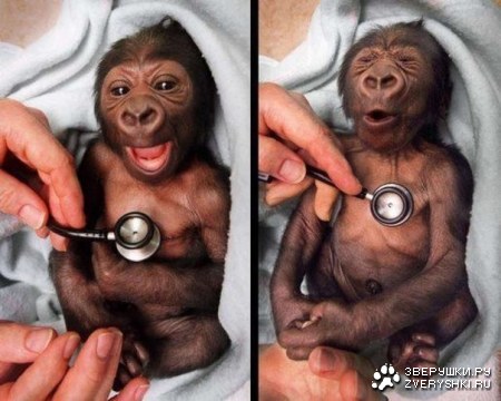 ������� �������� :)