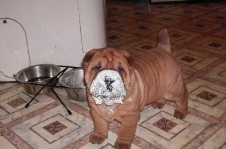 � ����... :)