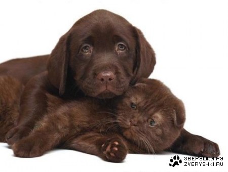 ���������� ;)