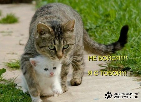 ��� ������� ;)