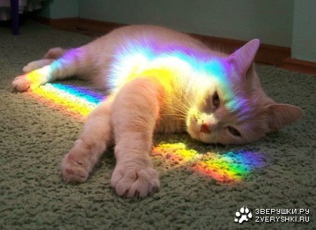 ������ :)