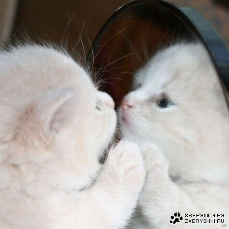 ���� ���, ���������, �����... ;)